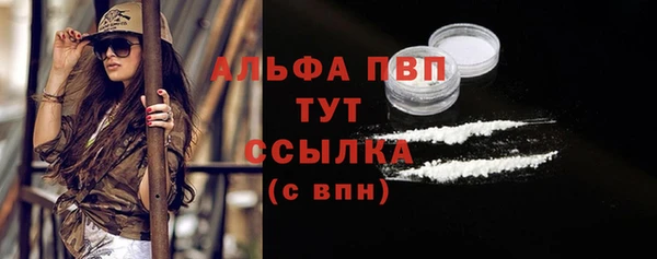 стафф Покачи