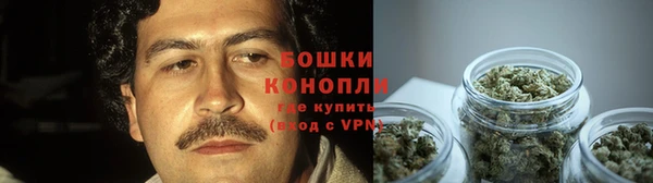 ПСИЛОЦИБИНОВЫЕ ГРИБЫ Покровск