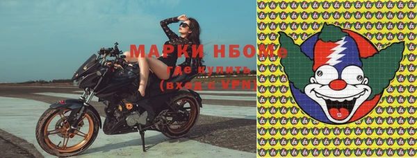 стафф Покачи