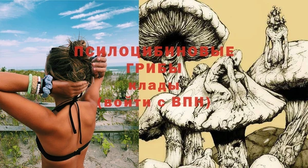 ПСИЛОЦИБИНОВЫЕ ГРИБЫ Покровск