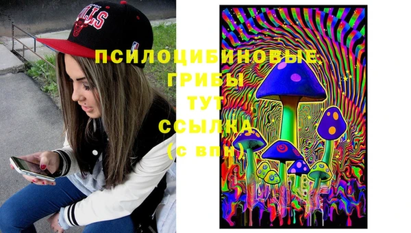 ПСИЛОЦИБИНОВЫЕ ГРИБЫ Покровск