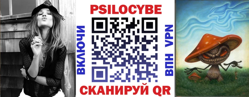 Псилоцибиновые грибы Psilocybine cubensis  Тайга 